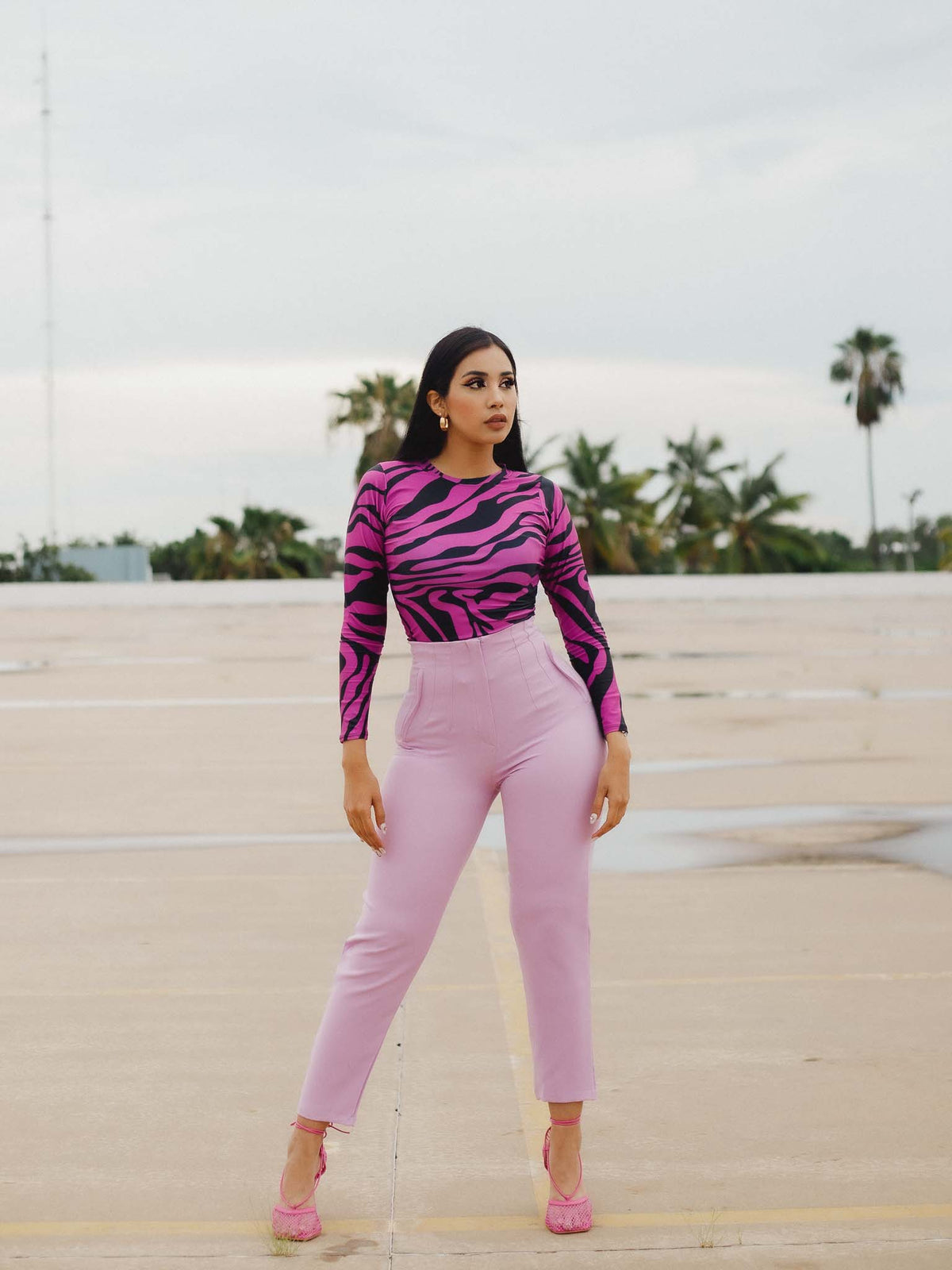 Pantiblusa cebra